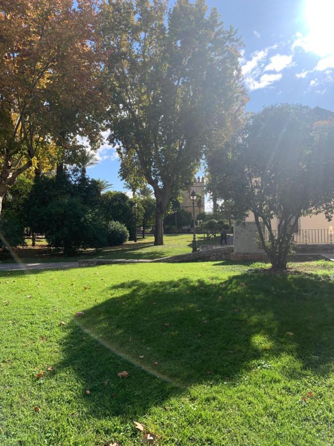 Apartamento A Estrenar A Un Minuto Del Alcazar Apartman Córdoba Kültér fotó